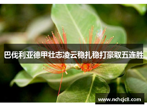 巴伐利亚德甲壮志凌云稳扎稳打豪取五连胜